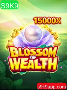 Explorando o Universo de BlossomofWealth: Um Guia Completo com S9K9